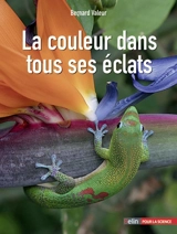 La couleur dans tous ses éclats - Bernard Valeur