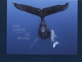 Dans l'intimité des baleines - Guillaume Boeye