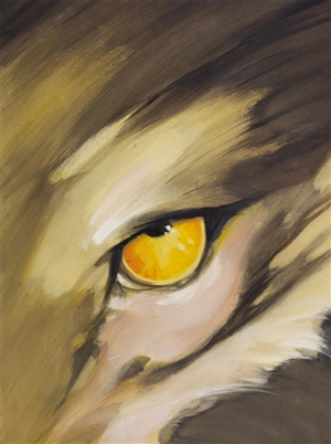 Coffret Meutes - Jean Dufaux