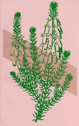 Bécon-les-Bruyères - Emmanuel Bove