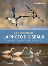 Les secrets de la photo d'oiseaux : reportages, approche, affûts, prise de vue - Erwan Balança