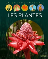 Les plantes - Sabine Boccador