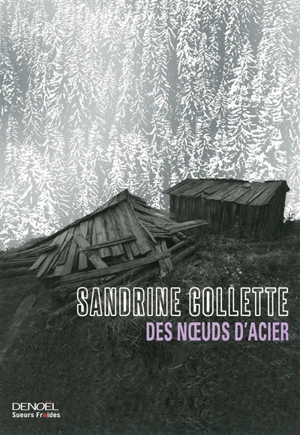 Des noeuds d'acier - Sandrine Collette