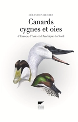 Canards, cygnes et oies : d'Europe, d'Asie et d'Amérique du Nord - Sébastien Reeber