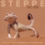 Steppe secrète - Valentin Nivet-Mazerolles