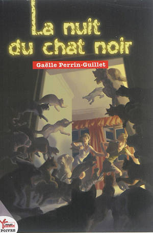 La nuit du chat noir - Gaëlle Perrin-Guillet