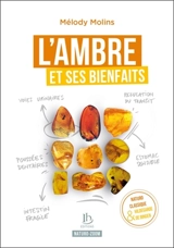 L'ambre et ses bienfaits - Mélody Molins