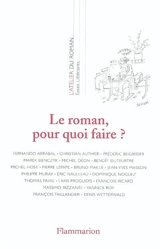 Le roman, pour quoi faire ?