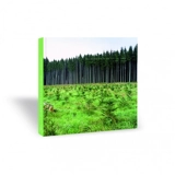 La grande route par tous les temps - Frédéric Lecloux