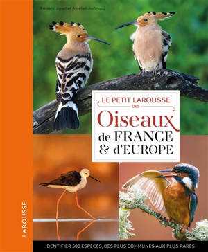 Le petit Larousse des oiseaux de France & d'Europe : identifier 500 espèces, des plus communes aux plus rares - Frédéric Jiguet
