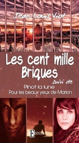Les cent mille briques. Pinot la lune. Pour les beaux yeux de Marion - Jean-Louis Viot