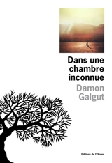 Dans une chambre inconnue - Damon Galgut