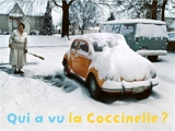 Qui a vu la coccinelle ? - Rémi Noël