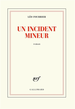 Un incident mineur - Léo Fourrier