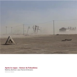 Après les vagues : autour de Fukushima - Jean-Patrick Di Silvestro