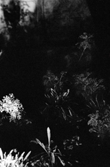 Le jardin d'après : sur les traces du Premier jardin d'Anne Hébert - Anne-Marie Proulx