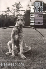 Quelle vie de chien - Elliott Erwitt