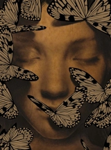 Petit carnet Peau d'Ane - Alessandra Maria