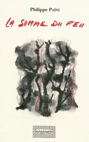 La somme du feu - Philippe Païni
