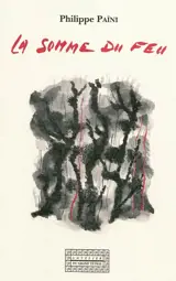 La somme du feu - Philippe Païni
