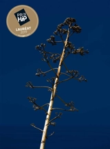 Faux bourgs - Yohanne Lamoulère