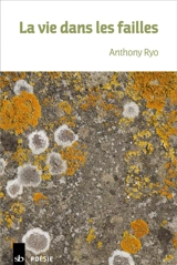 La vie dans les failles - Anthony Ryo