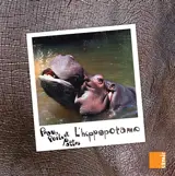 L'hippopotame - Anne-Claire Aubron