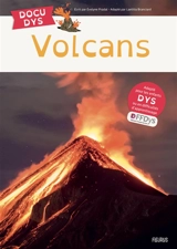 Volcans - Evelyne Pradal