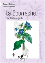 La bourrache : une étoile au jardin ! - Bernard Bertrand