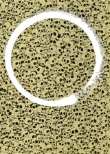 Enso 2 - Takashi Murakami