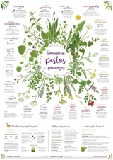 Savoureux pestos sauvages : classiques, corsés, inattendus, aromatiques, onctueux - Caroline Calendula