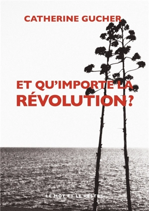 Et qu'importe la révolution ? - Catherine Gucher