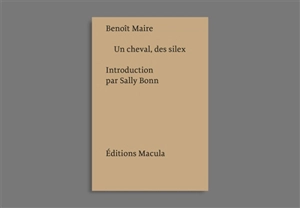 Un cheval, des silex - Benoît Maire