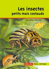 Les insectes petits mais costauds - OFFICE POUR L'INFORMATION ECO-ENTOMOLOGIQUE (France). Section régionale (Poitou-Charentes)