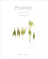 Prairies : papillons et plantes champêtres de nos contrées - Sandra Lefrançois