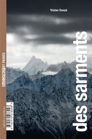 Des sarments. Des villes (du sable) - Tristan Donzé