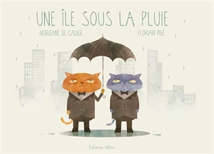 Une île sous la pluie - Morgane de Cadier