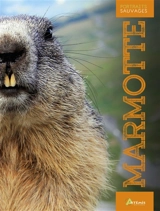 Marmotte - Maurice Dupérat