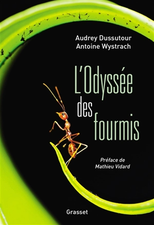 L'odyssée des fourmis - Audrey Dussutour