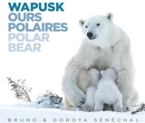 Wapusk : ours polaires. Wapusk : polar bear - Bruno Sénéchal