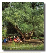 Jocelyn Philibert : metamorphosis of the real. Jocelyn Philibert : métamorphose du réel - Marcel Blouin