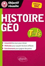 Histoire géo, terminales L, ES, spécial bac - Brice Rabot