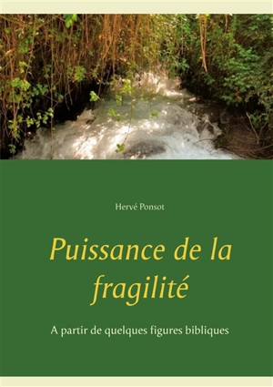 Puissance de la fragilité : A partir de quelques figures bibliques - Hervé Ponsot