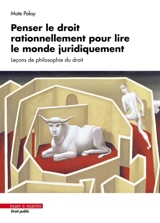 Penser le droit rationnellement pour lire le monde juridiquement : leçons de philosophie du droit - Máté Paksy