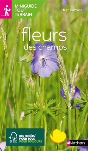 Fleurs des champs - Helga Hofmann