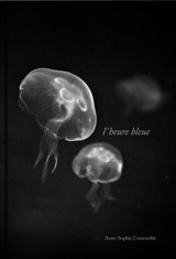 L'heure bleue - Anne-Sophie Costenoble