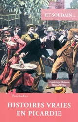 Et soudain... : histoires vraies en Picardie - Dominique Brisson