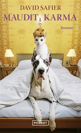 Maudit karma - David Safier