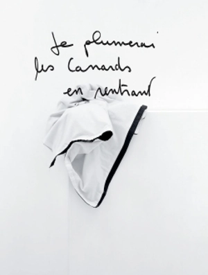 Je plumerai les canards en rentrant - Eric Poitevin