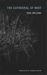 Paul Willems The Cathedral of Mist - Paul Willems